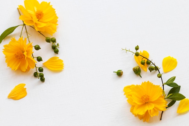 gele bloemen kosmos arrangement plat ansichtkaart stijl