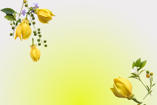 gele bloemen ylang ylang lokale flora van Azië arrangement ansichtkaart stijl