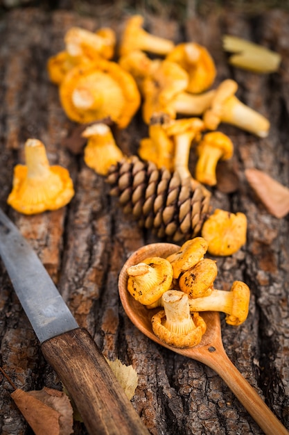 Gele cantharelpaddestoelen op houten oppervlakte. Gourmet eten.