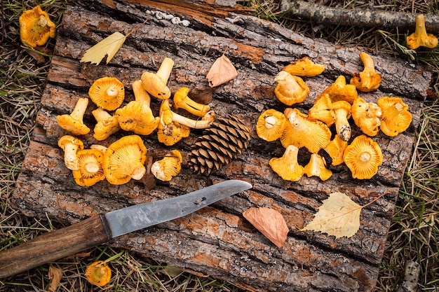 Gele cantharelpaddestoelen op rustieke houten lijst