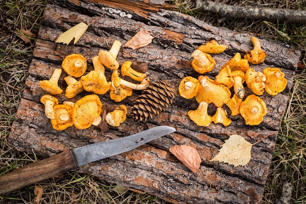 Gele cantharelpaddestoelen op rustieke houten oppervlakte.