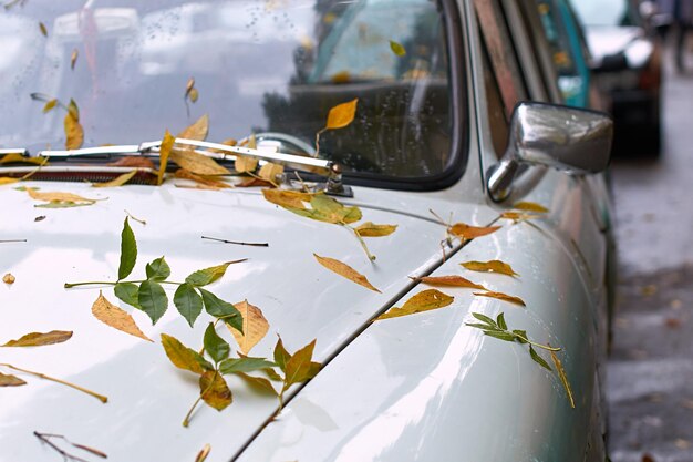 Foto gele en groene herfstbladeren op een witte vintage oldtimer