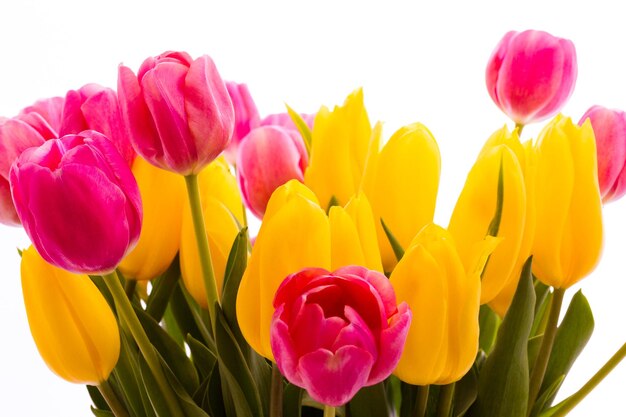 Gele en roze tulpen in lenteboeket.