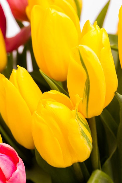 Gele en roze tulpen in lenteboeket.