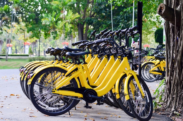 Gele fiets in het openbare park.