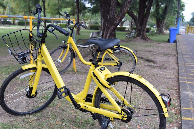 Gele fiets in het openbare park.