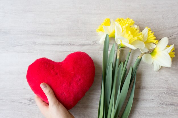 Gele gele narcissen en rood hartstuk speelgoed, de lenteconcept