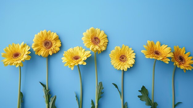 Gele gerberas op blauw Generatieve AI