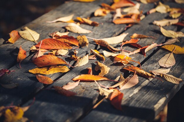 Gele gevallen bladeren op een houten tafel. herfst koud