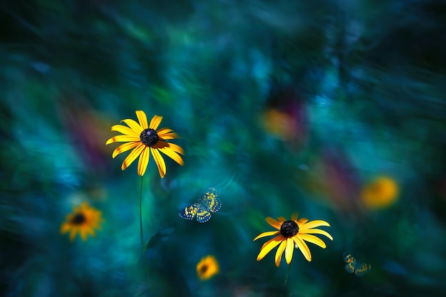 Gele heldere zomerbloemen en vlinders in een sprookjestuin Zomerwonderland