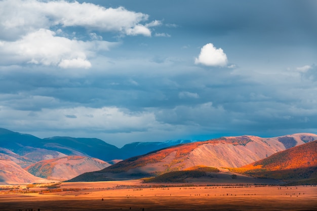 Gele herfst bergen en de blauwe lucht met wolken bij zonsondergang. Herfst landschap van Kurai steppe in Altai, Siberië, Rusland.