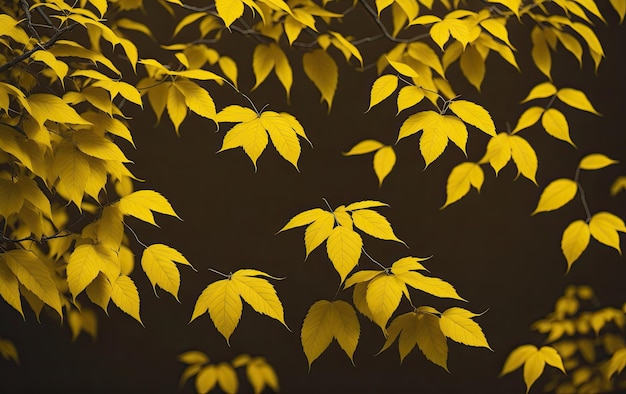 Gele herfstbladeren op een donkere achtergrond