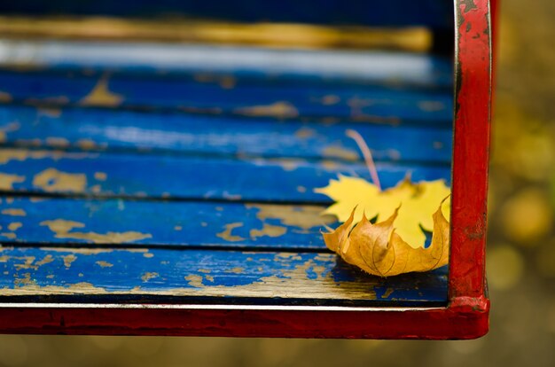 Gele herfstbladeren op een kinderschommel