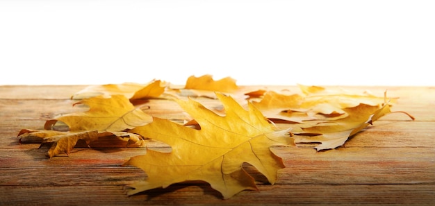 Gele herfstbladeren op houten tafel geïsoleerd op wit