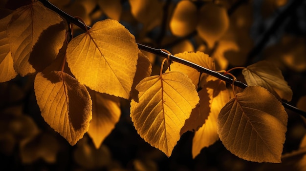 Gele herfstbladeren