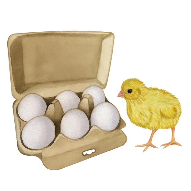 Gele kip witte eierschaal in de doos Boerderijproduct Proteïne Vrolijk pasen Handgetekende aquarel illustratie geïsoleerd op witte achtergrond