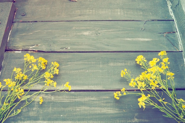 Gele koolzaad bloemen verzameld in een bos of boeket op houten achtergrond Wilde bloemen zijn netjes gerangschikt op tafel Kopieer ruimte en stilleven Vrije ruimte voor tekst Brassica napus Cabbageaceae