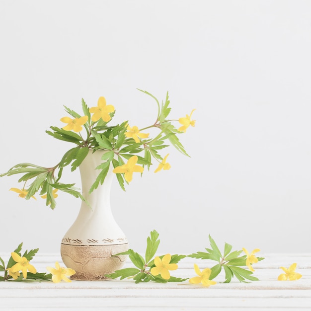 Gele lentebloemen in vaas op witte achtergrond