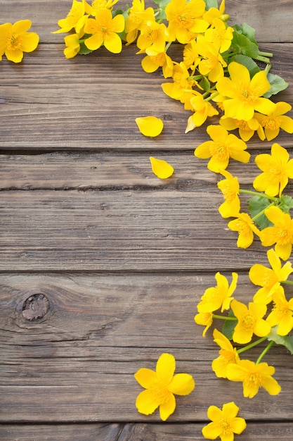 Gele Lentebloemen op donkere houten achtergrond