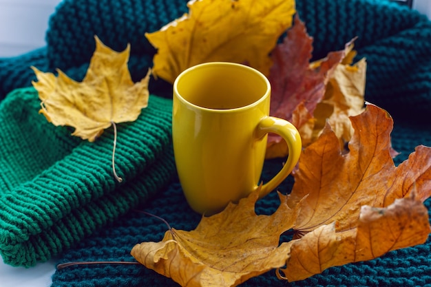 Gele mok met thee en gele esdoornbladeren staat in de herfst op een wit raam