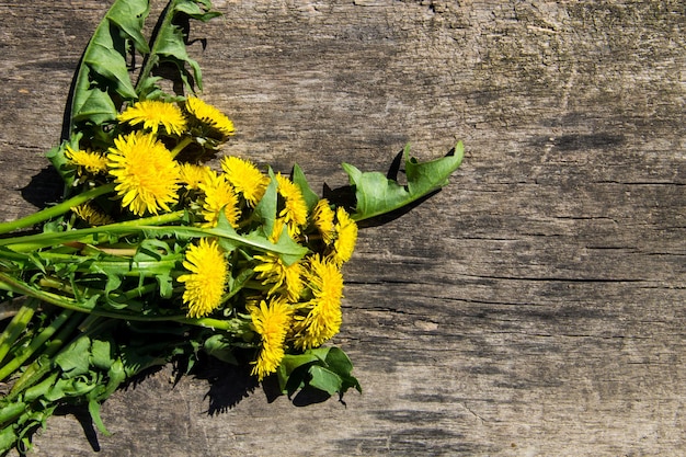 Gele paardebloem bloemen op rustieke houten achtergrond. Bovenaanzicht