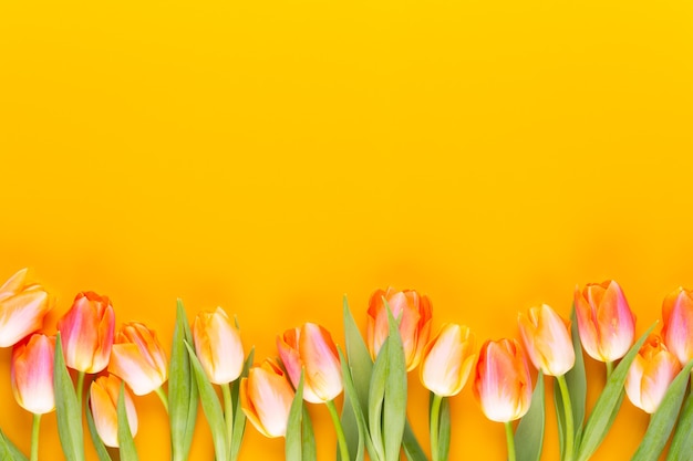 Gele pastelkleuren kleuren bloemen op gele achtergrond. wachten op de lente. gelukkig paaskaart. plat lag, bovenaanzicht. kopieer ruimte.