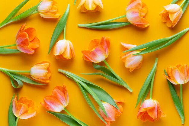 Gele pastelkleuren kleuren tulpen op de gele achtergrond. Retro vintage stijl.