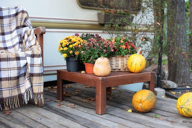 Gele pompoenen en herfstbloemen in potten op tafel. Veranda versierd voor Halloween