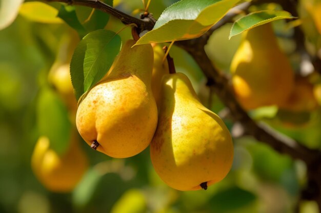 Gele rijpe peren op takboom Genereer Ai