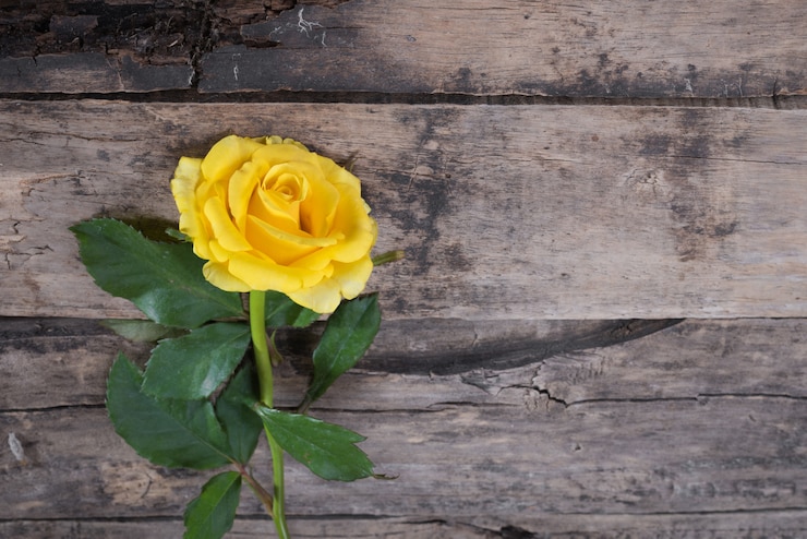 Foto gele roos op een houten tafel