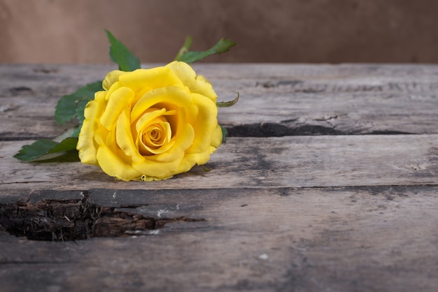 Gele roos op een houten tafel