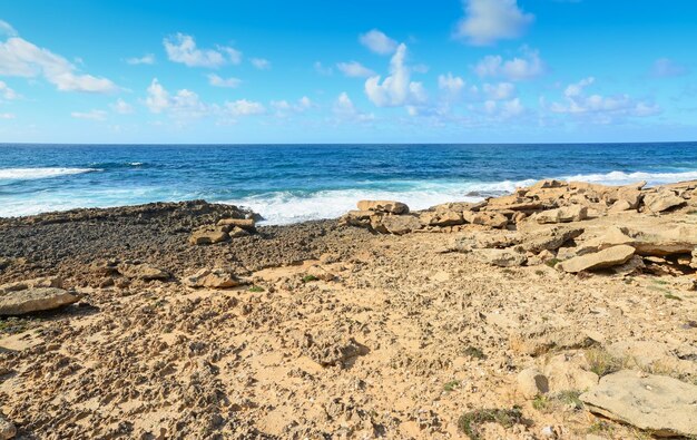 Gele rotsen en groene planten aan de kust van Argentiera op Sardinië