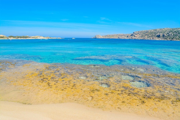 Gele rotsen op het strand van Capo Testa op Sardinië