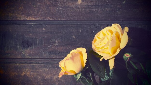 Gele rozen op een houten achtergrond Mooi boeket van 3 rozen op een donkere houten tafel Wenskaart met 8 maart Moederdag of Valentijnsdag