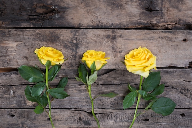 Gele rozen op houten tafel