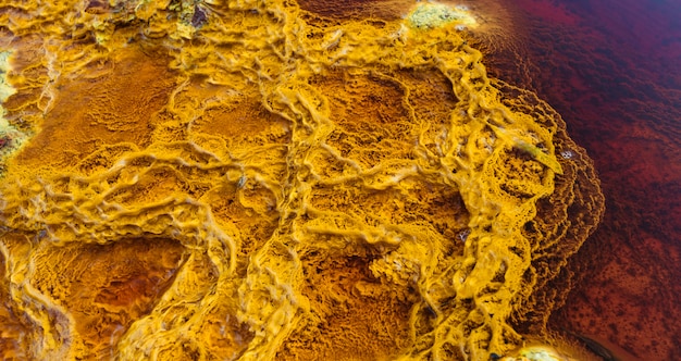 Gele stromatolieten verlicht door de zon en omgeven door rood water door mineralen