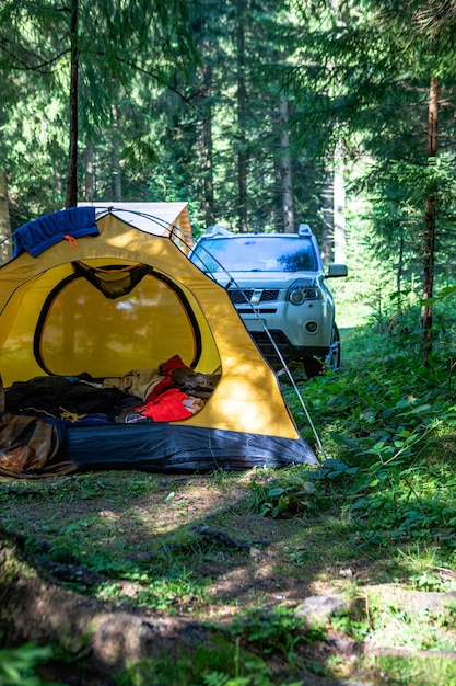 Gele tent met suv-auto in bos