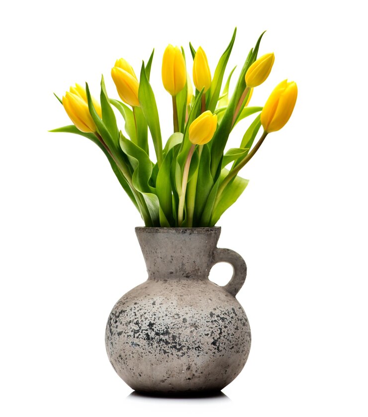 Foto gele tulpen in een betonnen vaas op een witte achtergrond