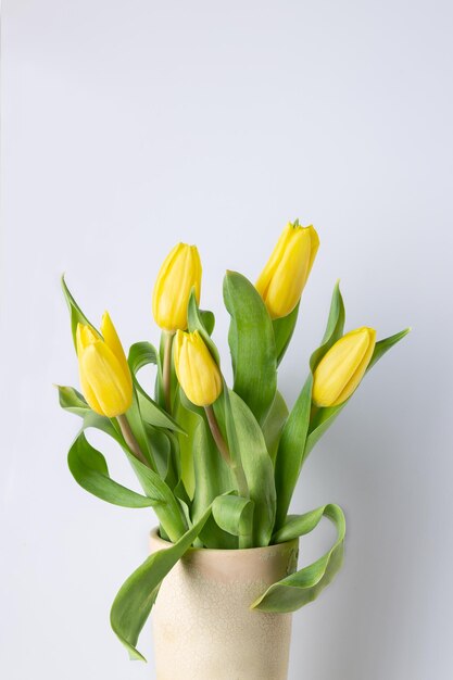 Gele tulpen in een kleivaas op een witte achtergrond kopie ruimte