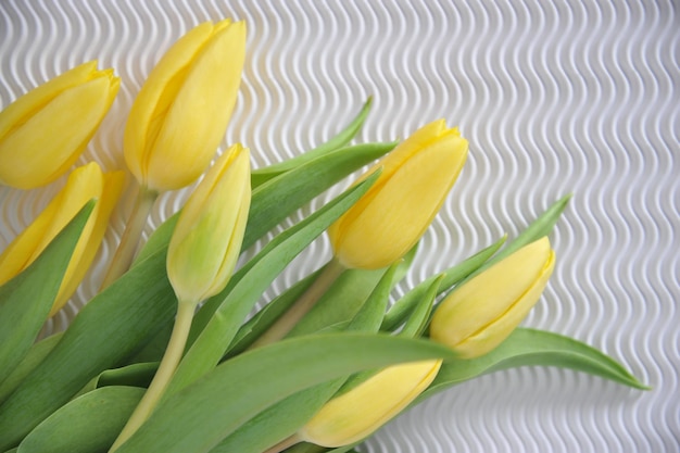 Foto gele tulpen in een witte doos.