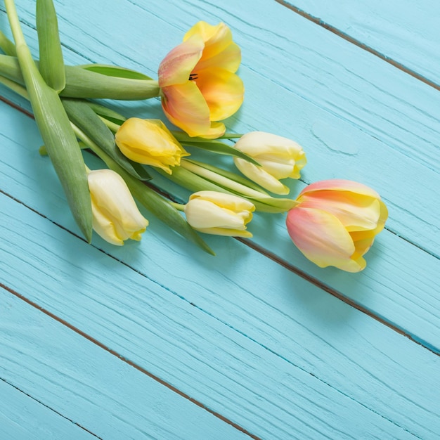 Gele tulpen op blauwe houten achtergrond