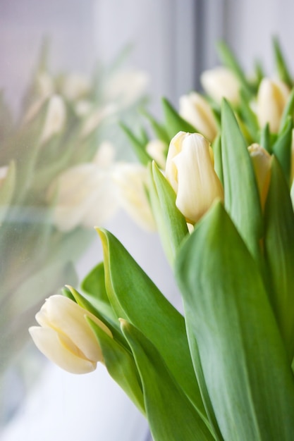 Gele tulpen op de vensterbank