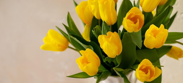 Gele tulpen op een beige achtergrond