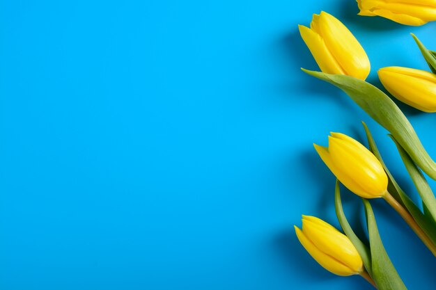Gele tulpen op een blauw