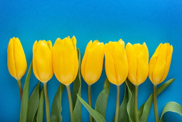 Gele tulpen op een blauwe achtergrond