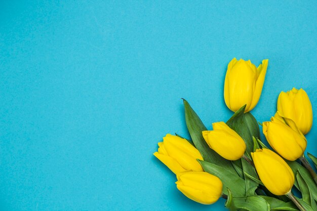 Gele tulpen op een blauwe achtergrond.