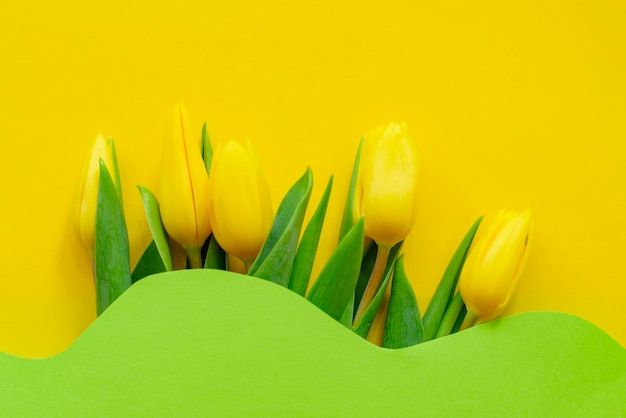 Gele tulpen op een geometrische geelgroen