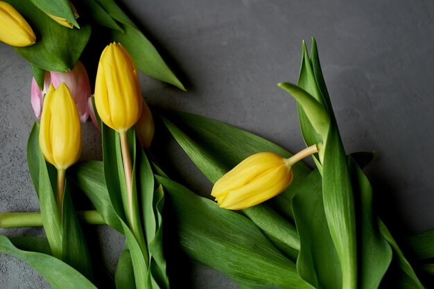 Gele tulpen op een grijze betonnen ondergrond Moederdag lente Gebroken tulp Nauwkeurigheid bij het vervoeren van de bloemen