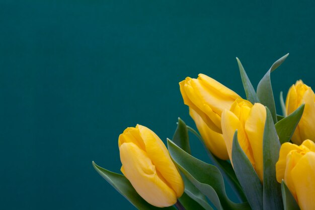 Gele tulpen op een turquoise oppervlak