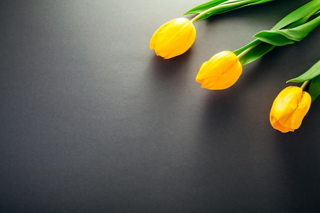 Gele tulpen op grijze achtergrond